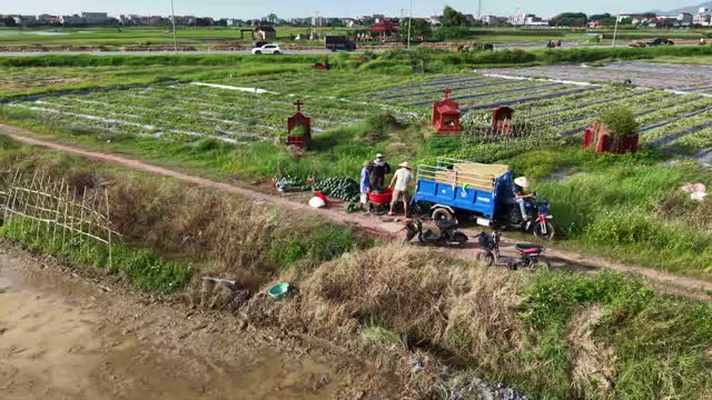Trike Moving Along Field Path