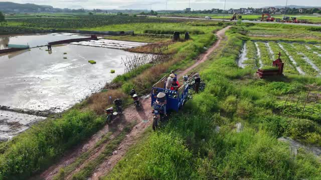 Watermelon Trike Passing A Pond