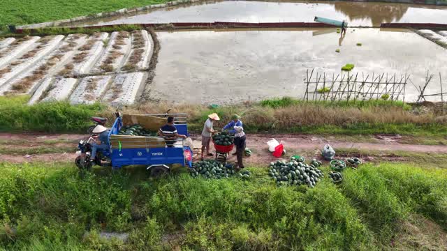 Cargo Trike By The Pond