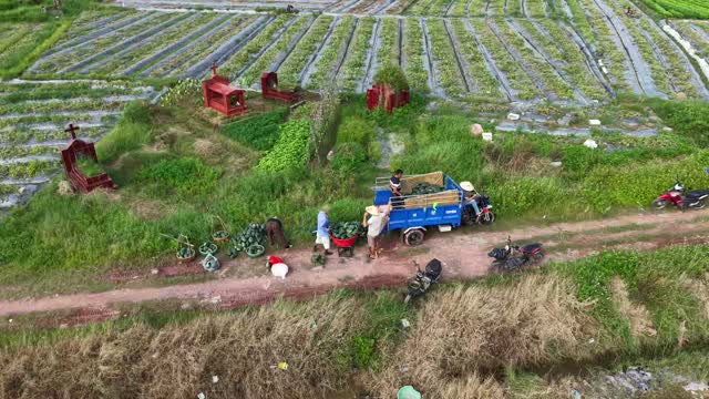 Aerial Truck On Field Path