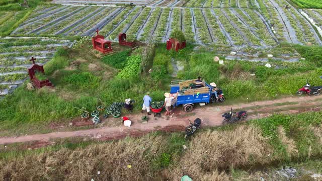 Drone Over Loading Trike