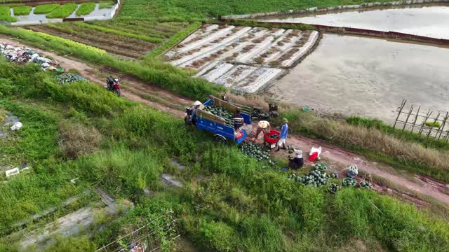 Drone Over Melon Loading