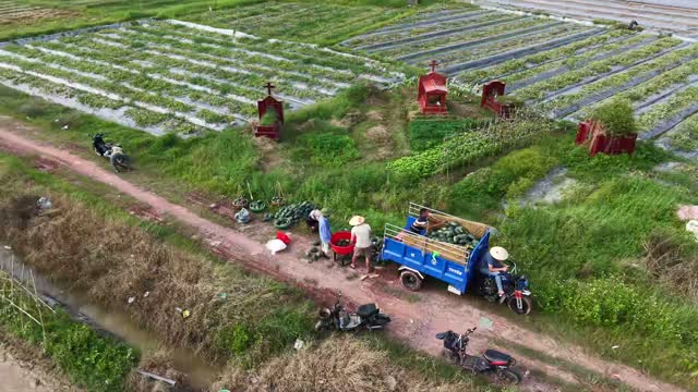 Overhead Harvest On Track