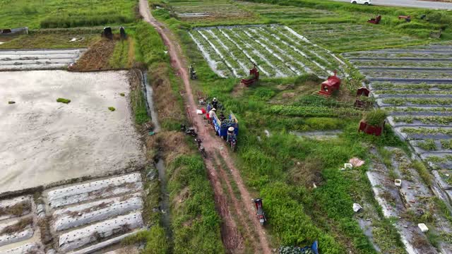 Aerial Field Track Harvest