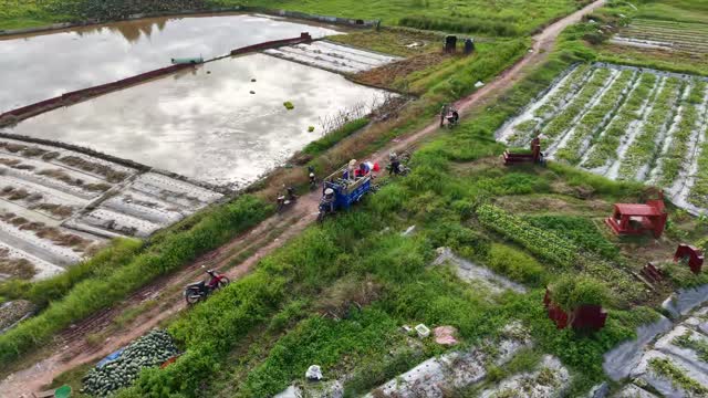 Trike By The Water Aerial