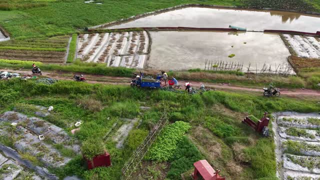 Drone Over Farm Path