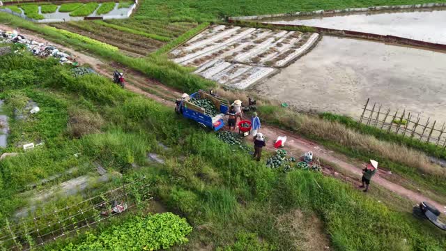 Drone Over Loading Group