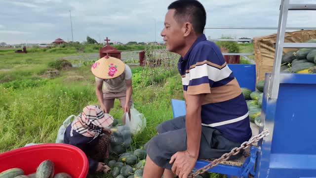 Workers Loading Watermelon Trike