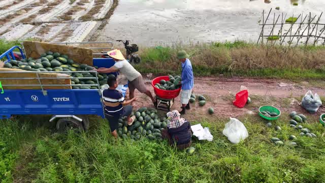 Weighing By Cargo Trike