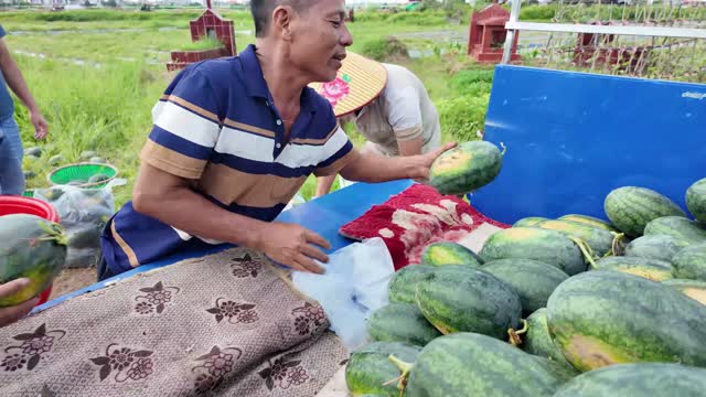 Farmer Working At Truck Side