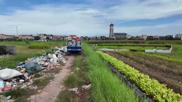 Cargo Trike Driving Rural Field Path