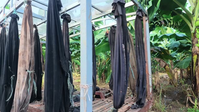 Protective Covers Drying On Rack