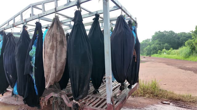 Black Bags Hanging On Trailer