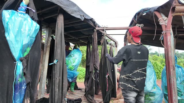 Worker Passing Hanging Covers