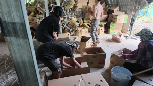 Workers Packing Boxes In Warehouse