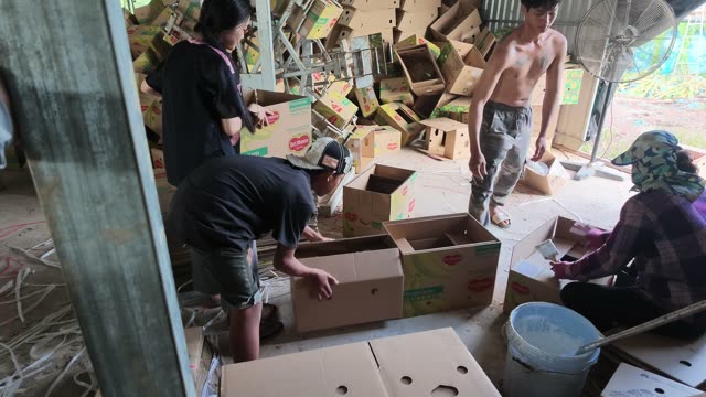 Workers Assembling Packing Boxes
