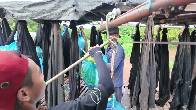Man Reaching Hook With Pole