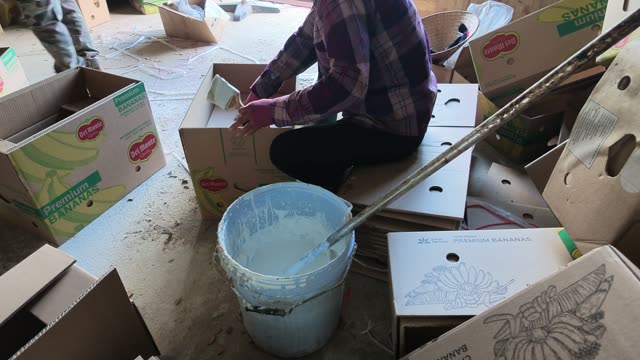Woman Preparing Banana Box
