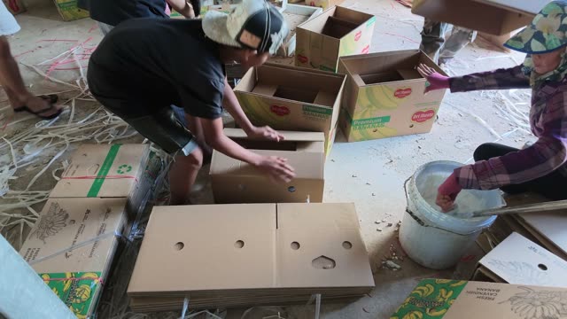 People Sorting Cardboard Boxes