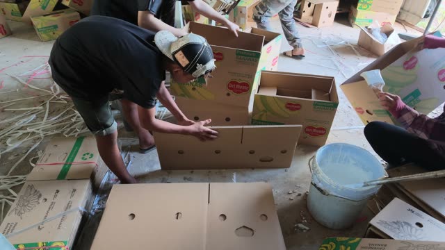 Workers Folding Banana Boxes