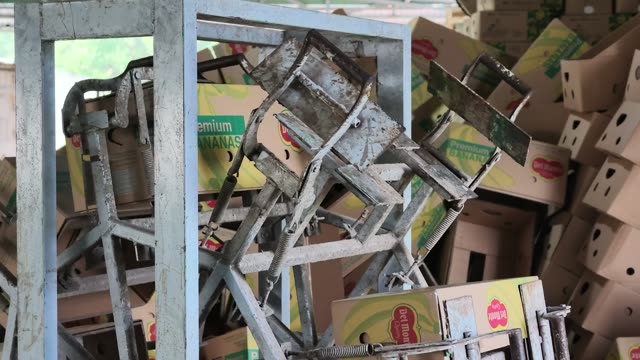 Box Folding Machine In Warehouse