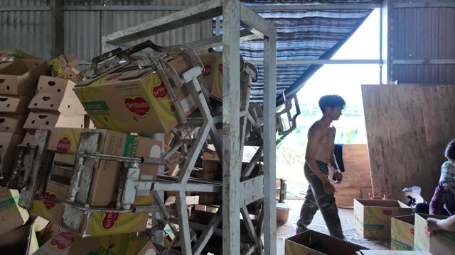 Man Walking Through Box Warehouse