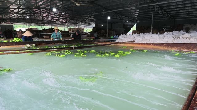 Workers At Banana Wash Tank