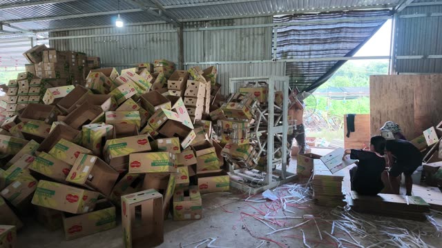 Piles Of Banana Boxes