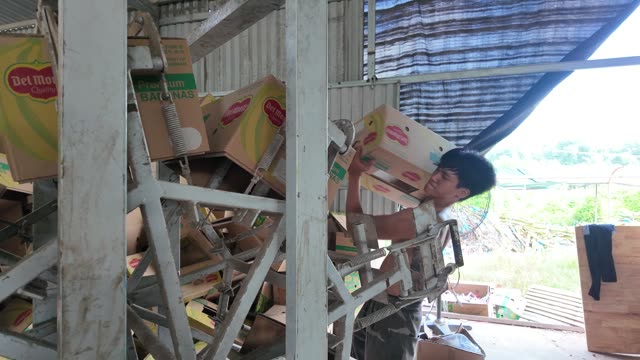 Man Carrying Box Up Machine