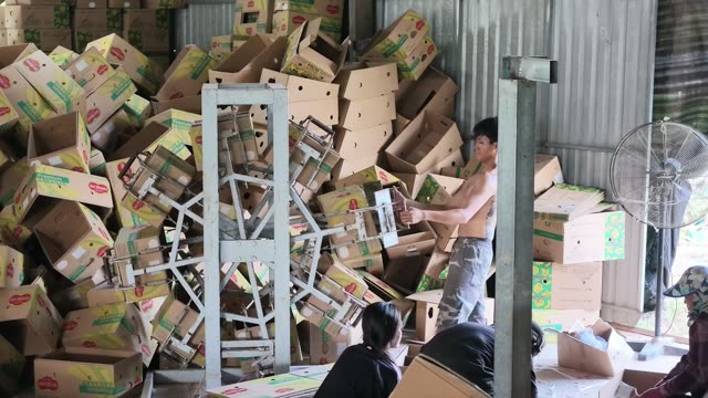 Man Stacking Boxes On Machine
