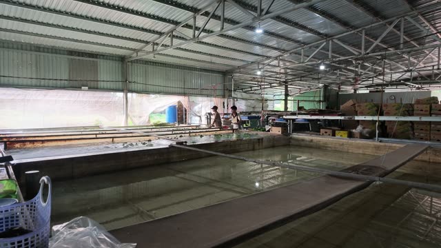 Men Standing By Wash Tank