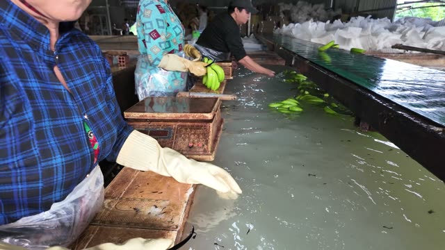 Workers At Busy Wash Tank