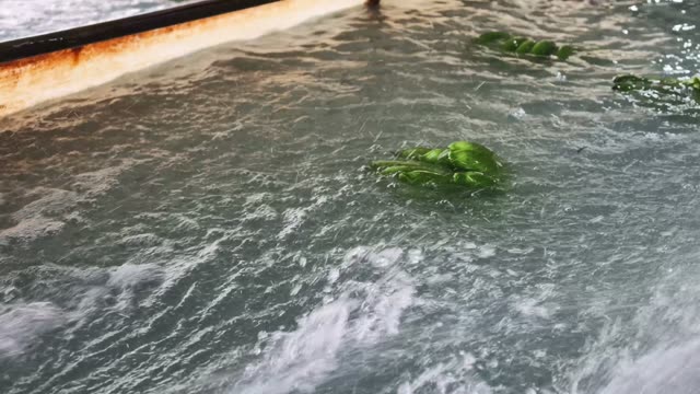 Splashing Water In Wash Tank