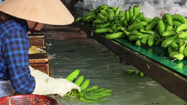 Woman Washing Bananas By Hand
