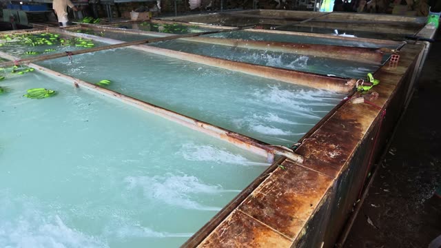 Water Bubbling In Banana Wash Pools