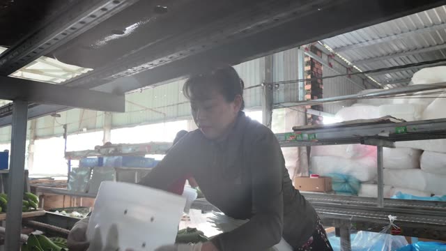 Woman Handling Foam Packing Sheets