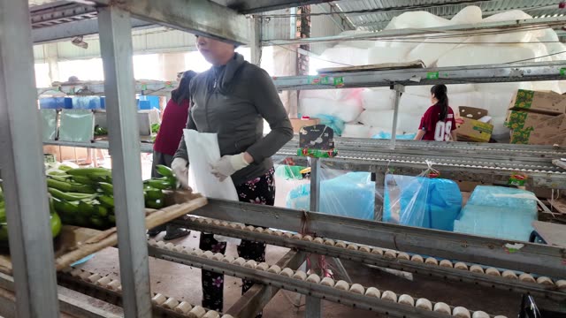 Worker With Foam Sheets By Bananas
