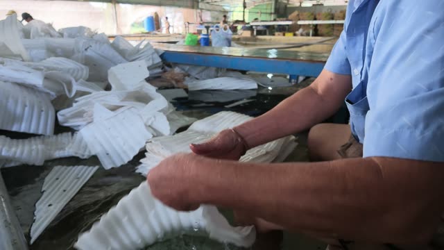 Hands Sorting Foam Packing Material
