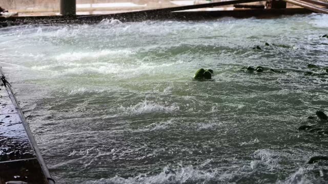 Water Rushing Over Green Wash Channel