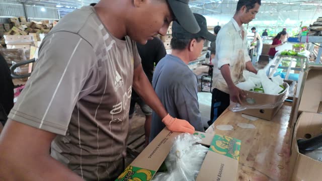 Worker Washing Fresh Bananas By Hand