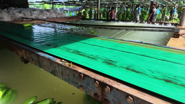 Green Channel Beside Banana Wash Pools