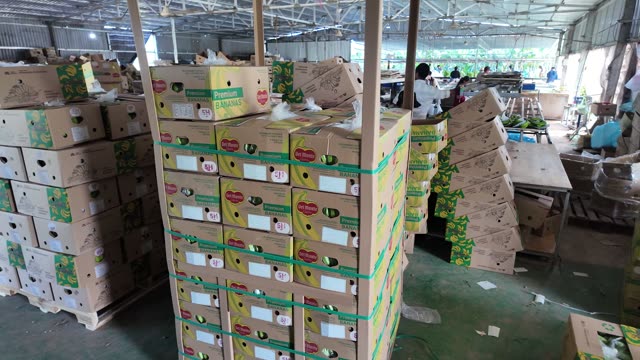Stacked Premium Banana Boxes In Warehouse