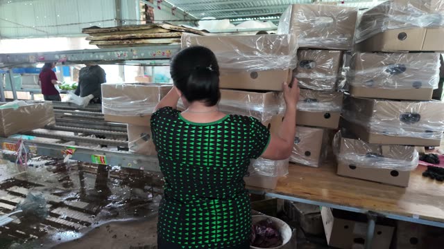 Woman Reaching For Stacked Boxes