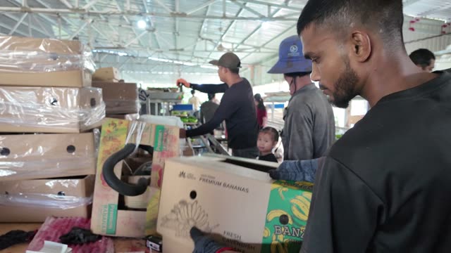 Worker Weighing Fresh Banana Bunches