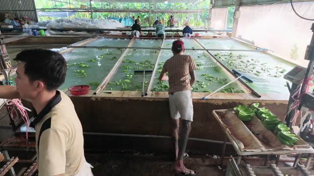 Worker Using Pole At Wash Pool