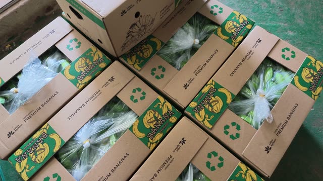 Sealed Premium Banana Boxes Ready