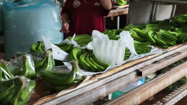 Foam Trays With Bagged Banana Hands