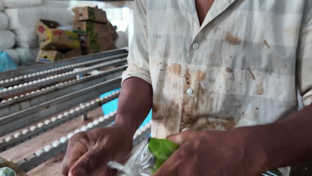 Worker Wrapping Banana Hand In Plastic