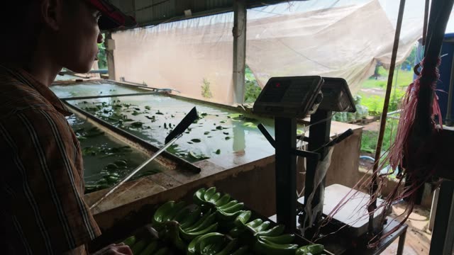 Worker Watching Wash Pool With Scale