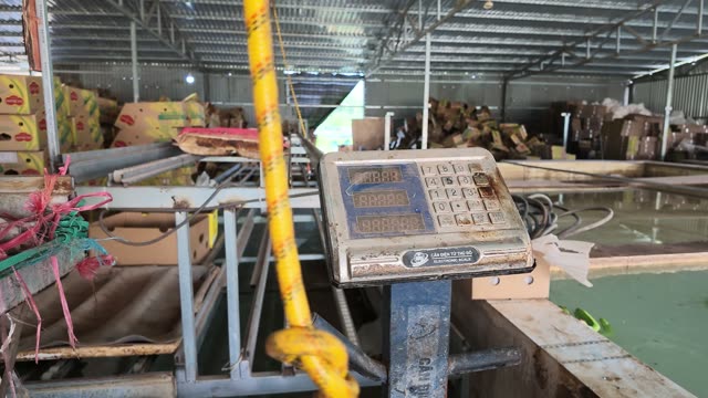 Weighing Scale Beside Warehouse Boxes